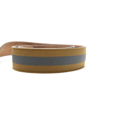 The stripes of the Gucci Blue & Yellow Striped Canvas Silver GG Buckle Belt.