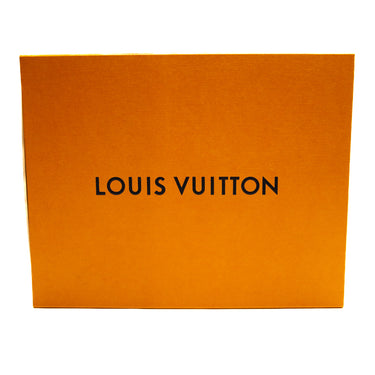 The box of the Louis Vuitton LV Skate Sneaker.