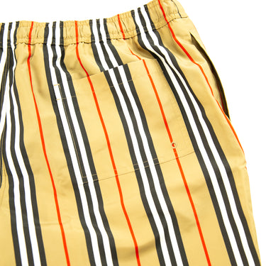 The detail of the Burberry Striped Check Print Swim Shorts.