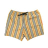 The front of the Burberry Striped Check Print Swim Shorts.